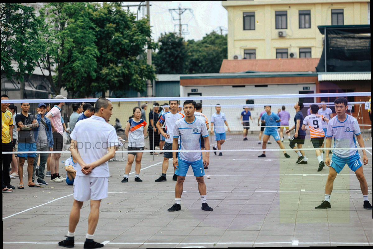 现代化的科技办公空间，员工在屏幕前分析体育数据